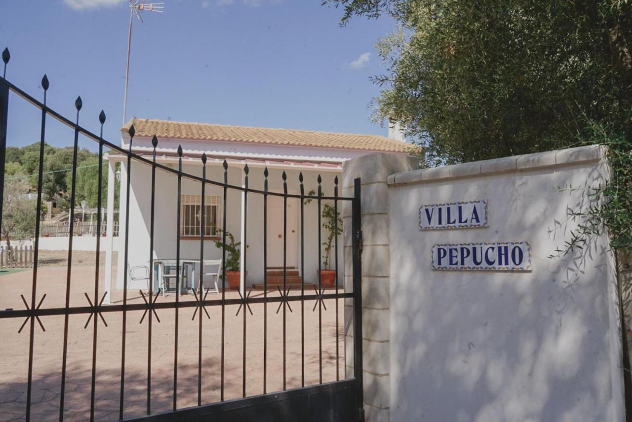 Casa Con Piscina De Agua Salada Villa Pepucho 2 Almodóvar del Río Екстериор снимка